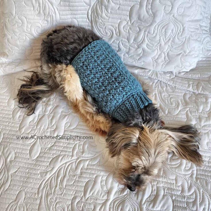 Image for Chewy's Crochet Dog Sweater